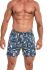 001-19 Classic мужские боксерки 67 (принт)