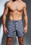 001-18 Classic Мужские боксерки 61 (принт)