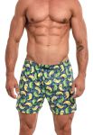 011-19 Classic мужские боксерки 72 (принт)