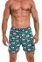 011-19 Classic мужские боксерки 77 (принт)