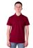 14-1350 Футболка чоловіча поло (бордовий)