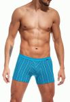 228 Perfect mini Various Мужские шорты 81 (бирюзовый)