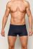 2901-5 Трусы мужские темно-сині Sergio Dallini (синий)