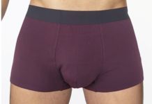 2905-2 трусы мужские Sergio Dallini (фиолетовый)