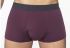 2905-2 трусы мужские Sergio Dallini (фиолетовый)