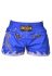 Шорты Berserk Muay Thai Fighter blue (синий)
