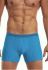 228 Perfect mini Various Мужские шорты 87 (бирюзовый)