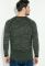Джемпер чоловічий двокольоровий 267F027 (зелений)