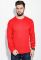 Джемпер мужской однотонный 281V001 (красный)