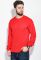 Джемпер мужской однотонный 281V001 (красный)