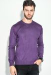 Джемпер чоловічий однотонний 50PD480 (фіолетовий)