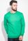 Джемпер чоловічий повсякденний 465K024 (зелений)