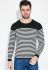 Джемпер мужской в полоску 138V004 (черный/белый)