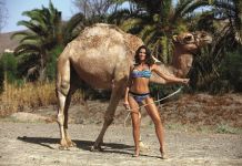 Emma 472 Marko (колір 2)