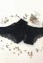 Gabriella трусики жіночі 1шт Oro (чорний)