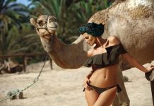 Keira 465 Marko (колір 3)