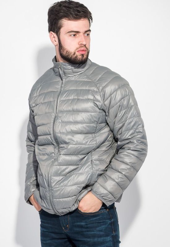 Куртка мужская демисезон 191V005 (серый)