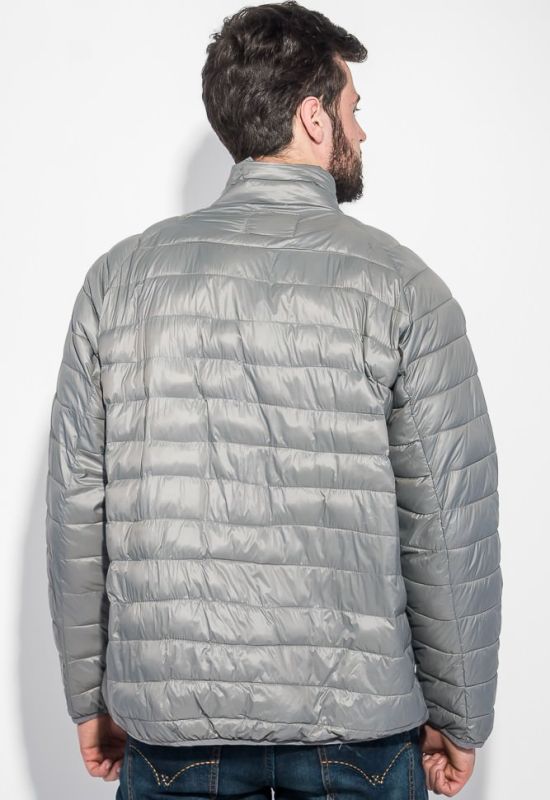 Куртка мужская демисезон 191V005 (серый)