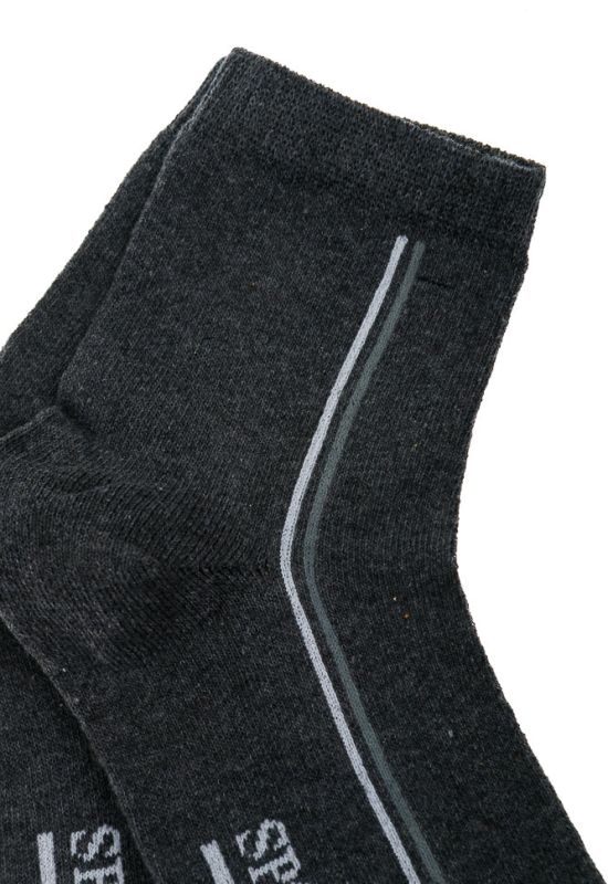 Шкарпетки 120PNS017 (сірий)