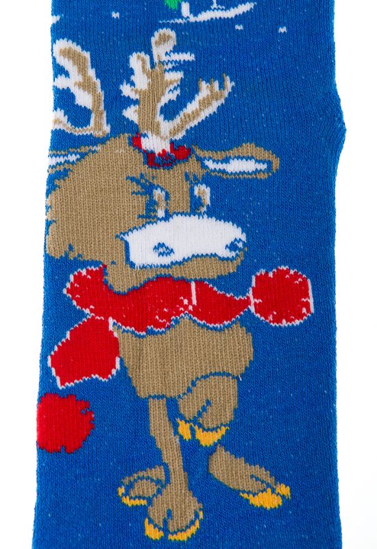 Шкарпетки 120PNS021 (блакитний)