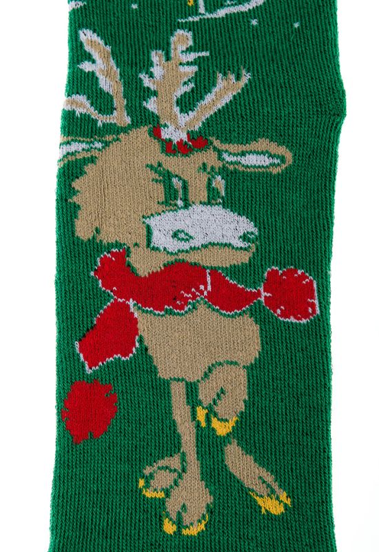 Шкарпетки 120PNS021 (зелений)