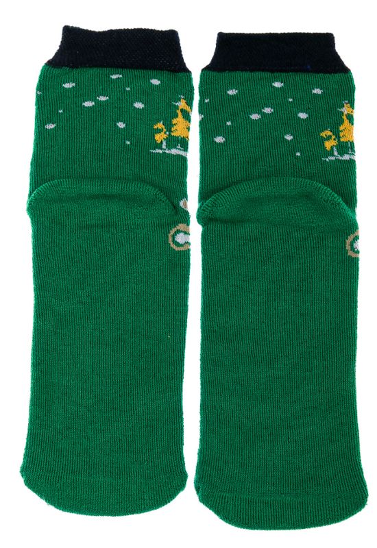 Шкарпетки 120PNS021 (зелений)
