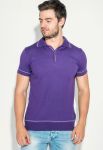 Поло мужское однотонное 50P305 (фиолетовый)