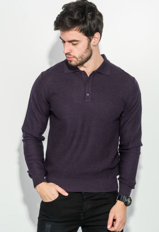 Пуловер чоловічий з фактурним візерунком «Соті» 50PD545 (фіолетовий)