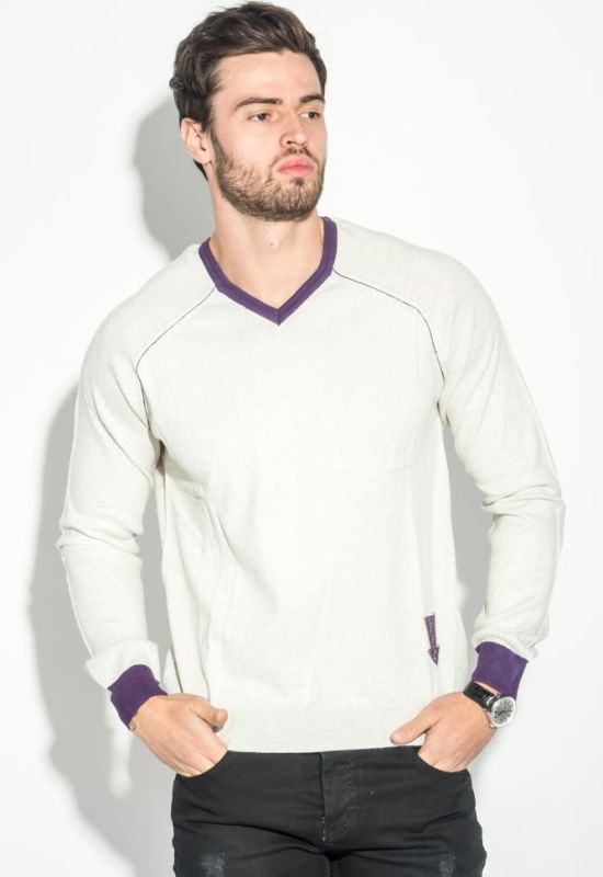 Пуловер чоловічий з нашивкою 50PD470 (сірий/фіолетовий)