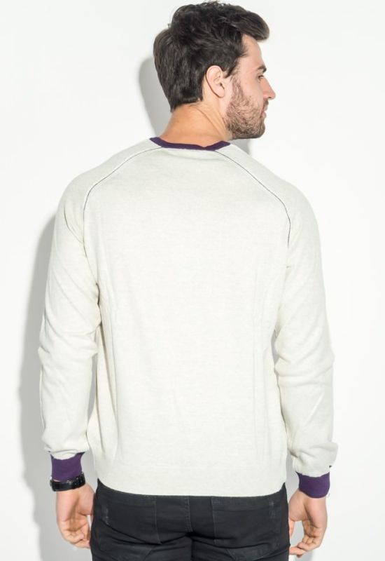 Пуловер чоловічий з нашивкою 50PD470 (сірий/фіолетовий)