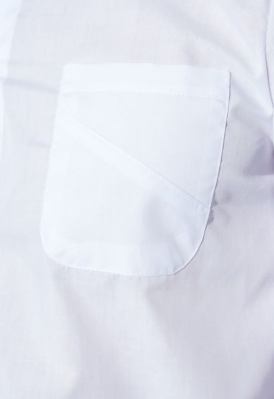 Сорочка чоловіча офісного стилю 3220-3 (білий)