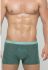 SD2011-3 Трусы мужские Salvador Dali (зеленый)