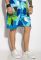 Шорти 452V005-12 (синій/салатовий)