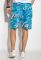 Шорти 452V005-14 (блакитний)