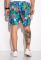 Шорты 452V005-22 (голубой)