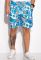 Шорти 452V005-26 (блакитний)