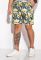 Шорты 452V005-29 (оливковый)