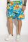 Шорти 452V005-9 (принт)