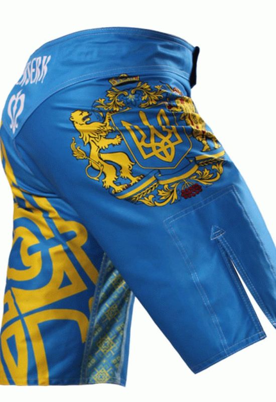 Шорты MMA Berserk Hetman blue (синий)
