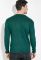Светр чоловічий з перфорацією 169V002 (зелений)