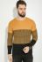 Свитер мужской три полоски 48P3297 (горчичный/черный)