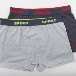 1BE-478 K2 Шорты мужские