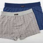 1BE-483 K2 Шорты мужские