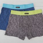 1BE-488 K2 Шорты мужские