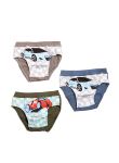 2629 Труси для хлопчиків 3 шт/уп
