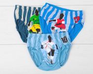 2795 Труси для хлопчиків 3 шт/уп