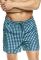 36847 KITE Шорти пляжні чоловічі (бірюзовий/клітина)
