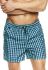 36847 KITE Шорты пляжные мужские (бирюзовый/клетка)
