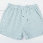 TY-1015 боксерки мужские (зеленый)