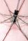 Парасолька 120PAZ022 (червона)
